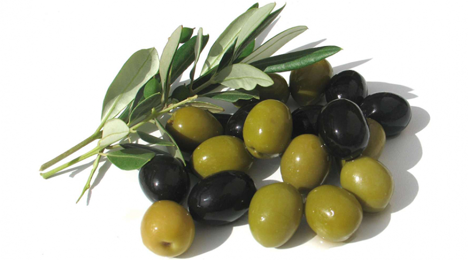 Olio gonzatto Renato